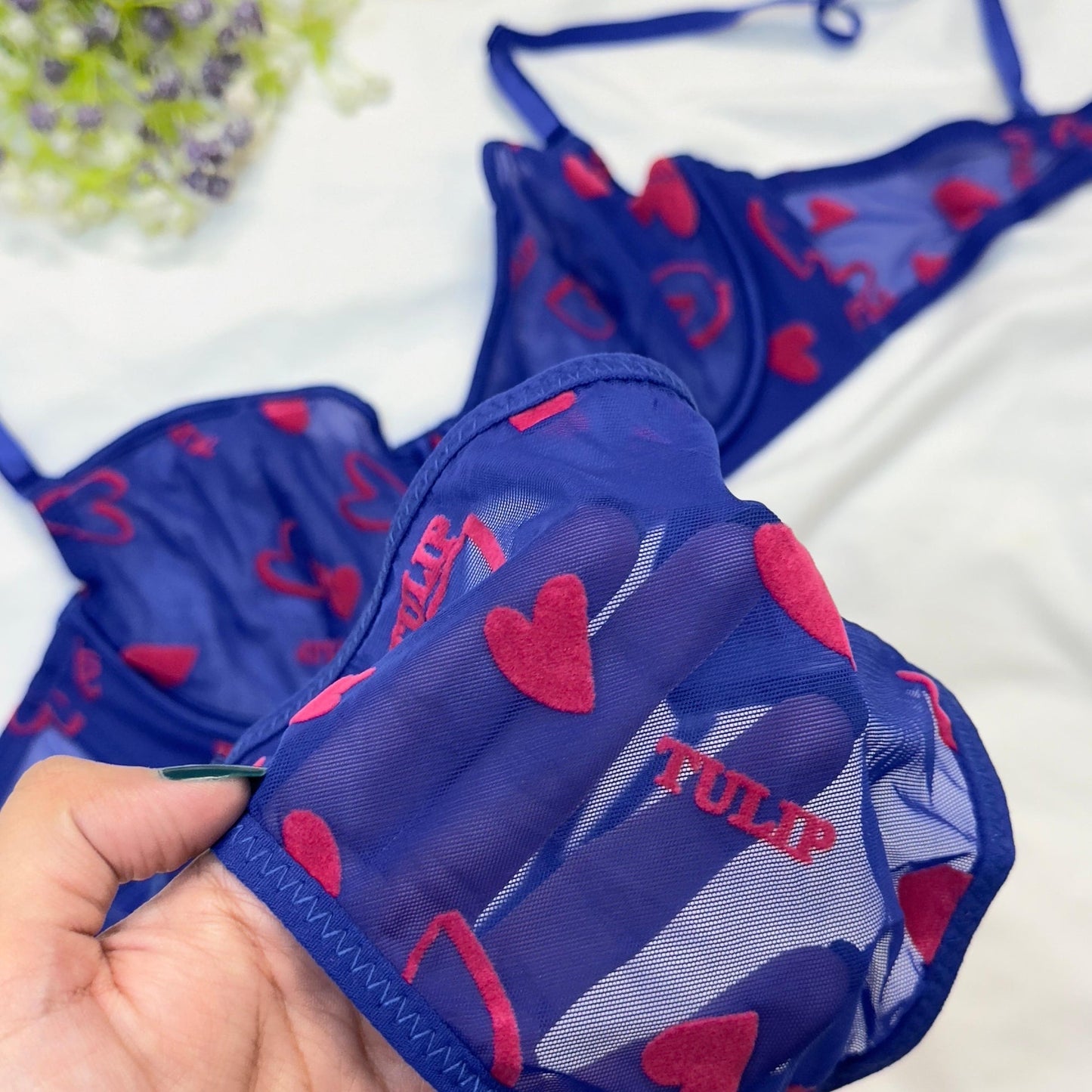 💕 Velvet Love Print in Net Bra Set