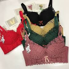 Front Net Padded Imported Bra